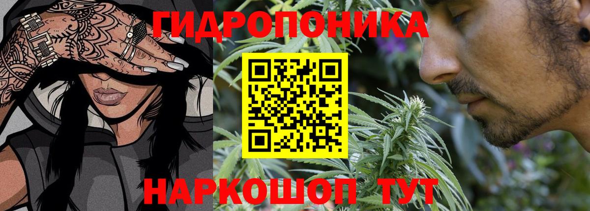 Канабис ГИДРОПОН  Бошки Шишки конопля  Конопля планчик  Октябрьский  Вход с VPN 